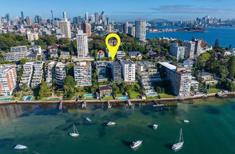 image (6)